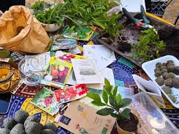 Fabrication de bombes à graines