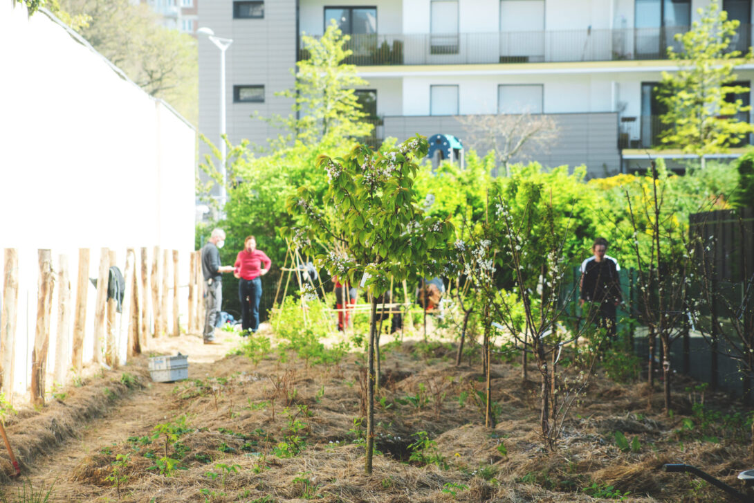Les Fruits Rouges de Montrouge