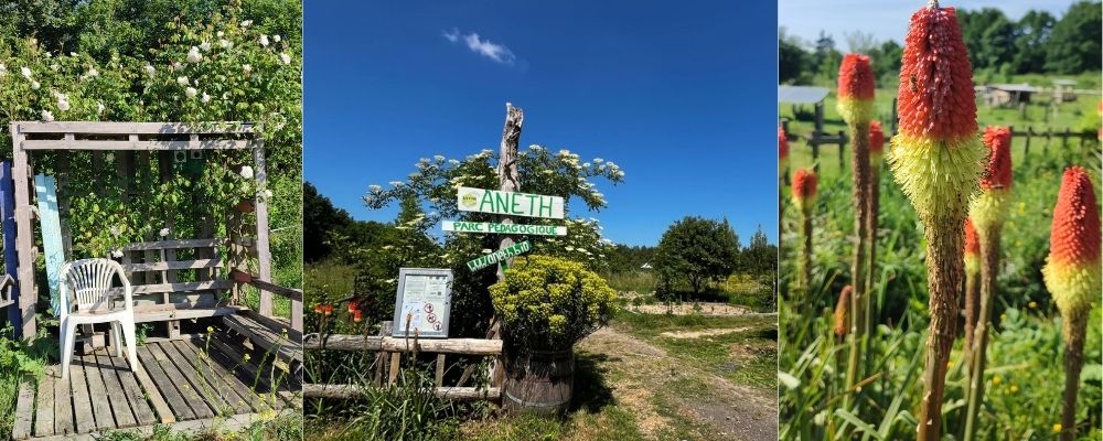 Pique-nique partagé