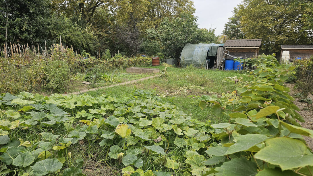 Porte ouverte aux jardins familiaux des bords de Seine