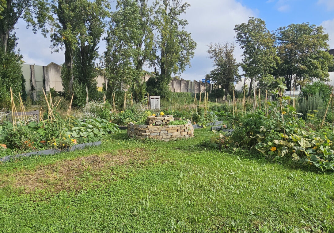 Portes ouvertes aux jardins partagés de la Prairie du Moulin Joly