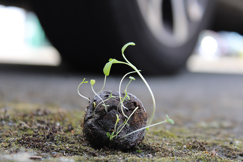 Porte ouverte au jardin partagé du square Victor Basch