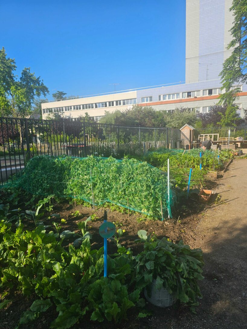 Porte ouverte au jardin partagé du square Victor Basch