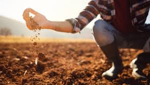 Comprendre sa terre de jardin