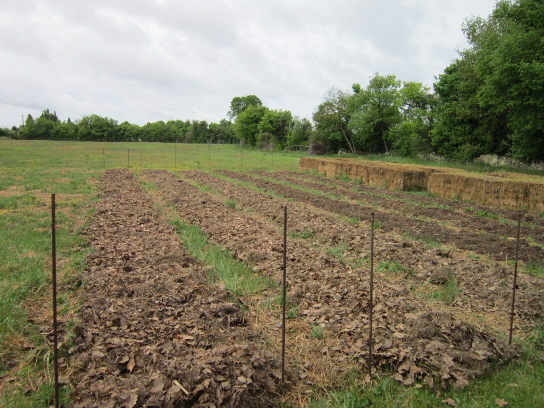 Comprendre sa terre de jardin