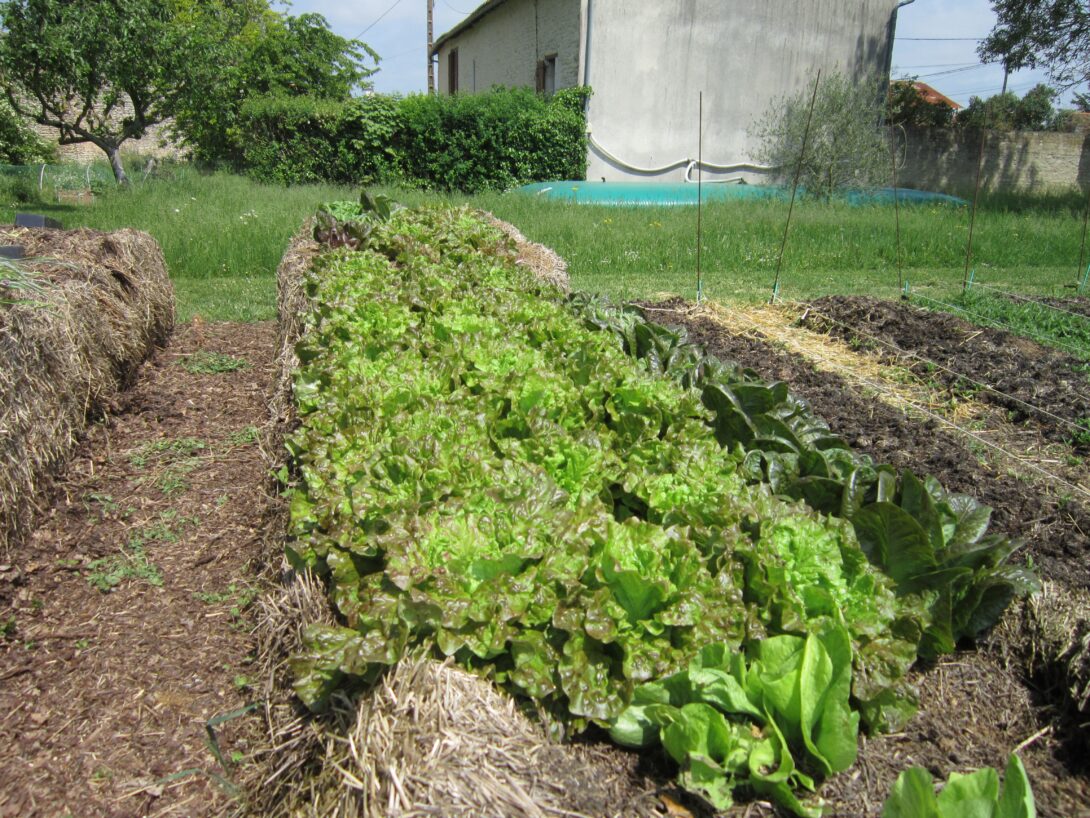 Comprendre sa terre de jardin