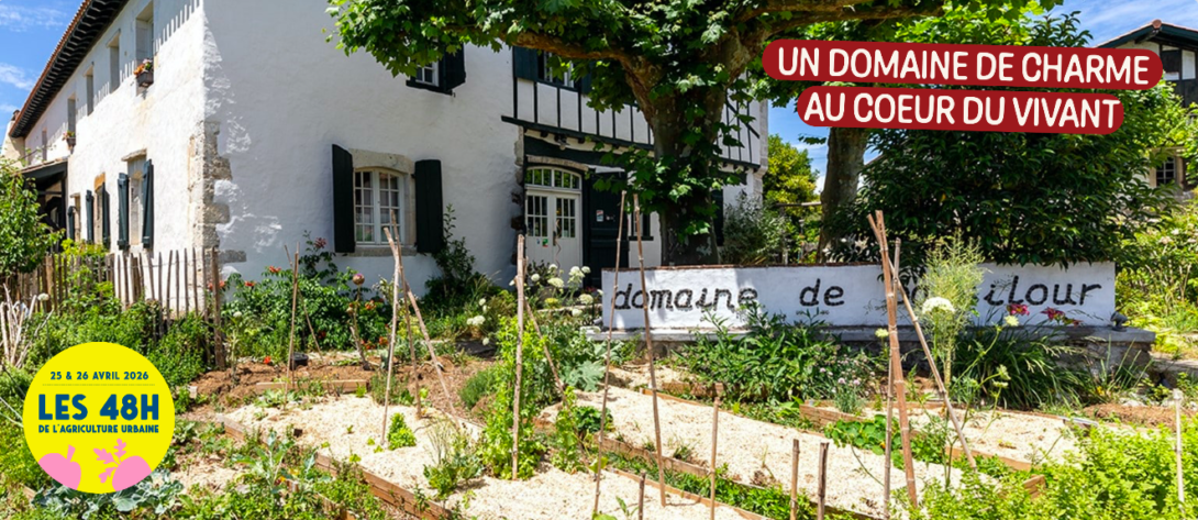 Chantier potager ! Créer et planter ensemble