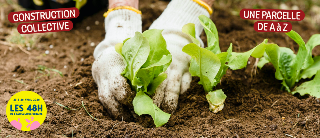 Chantier potager ! Créer et planter ensemble