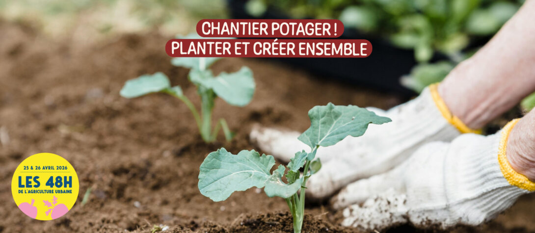 Chantier potager ! Créer et planter ensemble