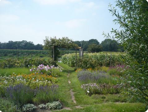 Jardiner avec la Lune Prendre soin du jardin et la biodynamie au jardin