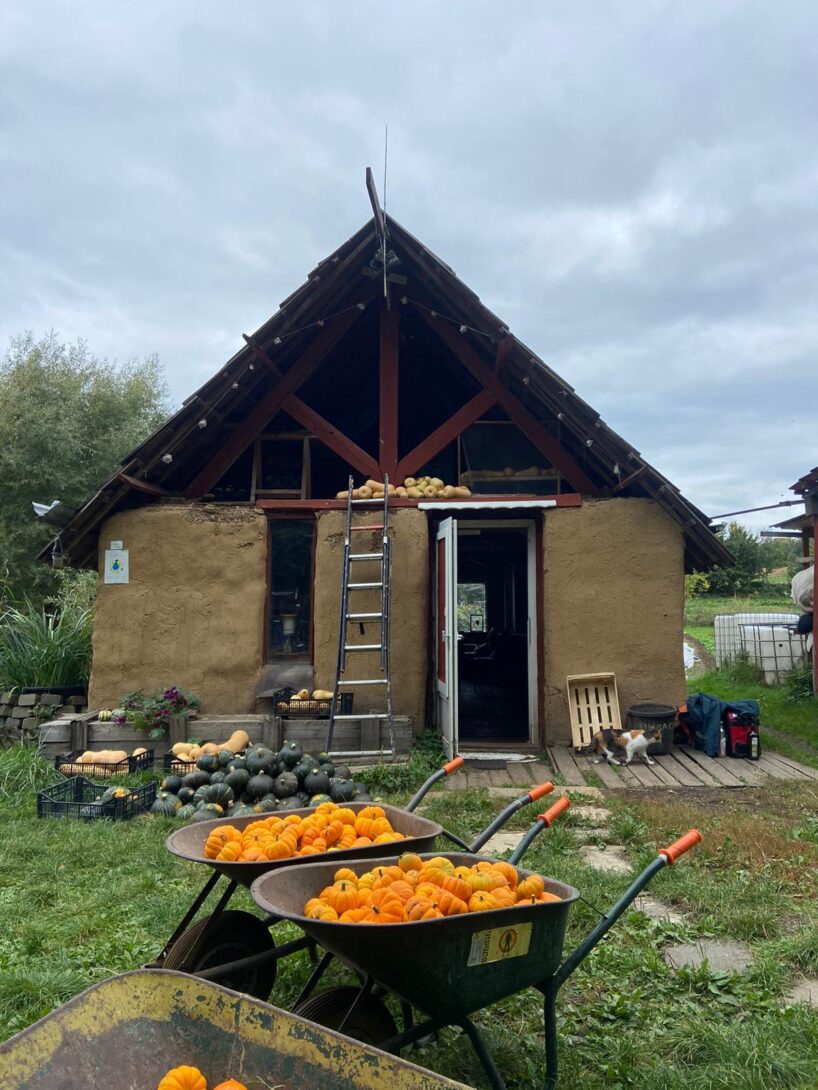 Portes-ouvertes à la ferme urbaine- Chantier Participatif restauration de la cabane