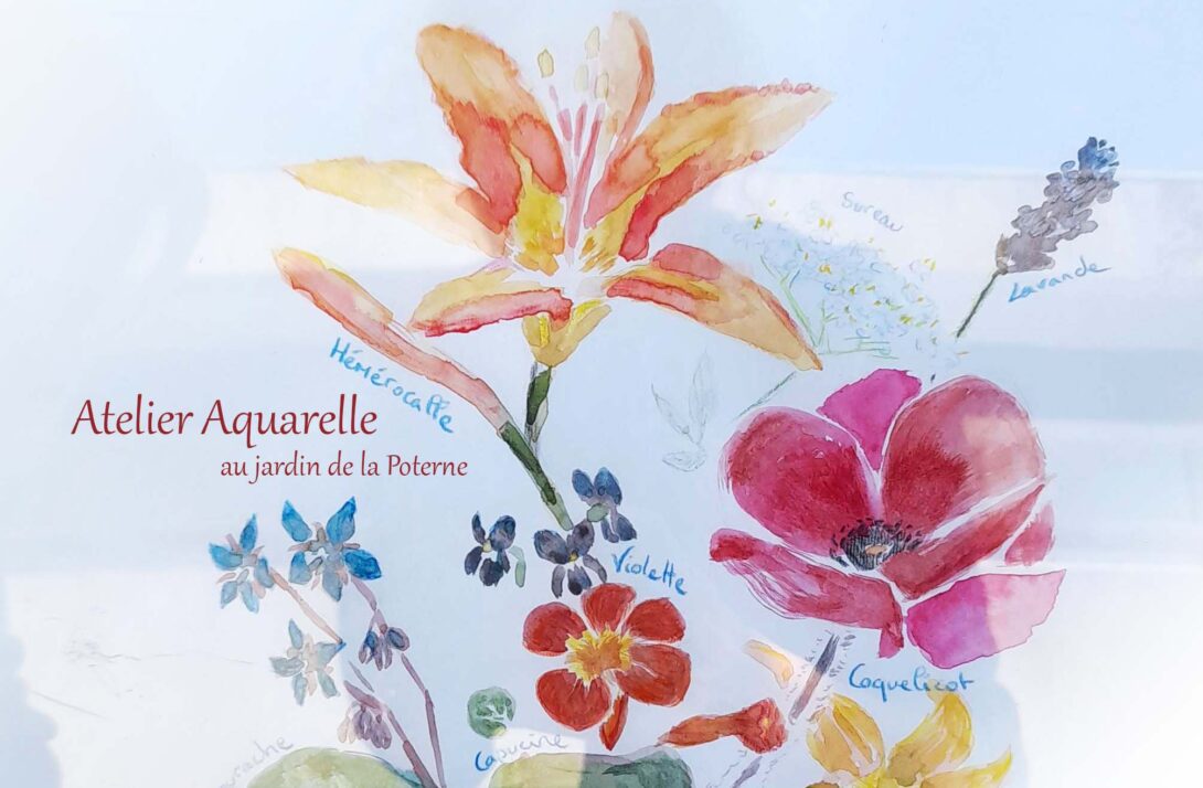 Atelier Aquarelle botanique au jardin