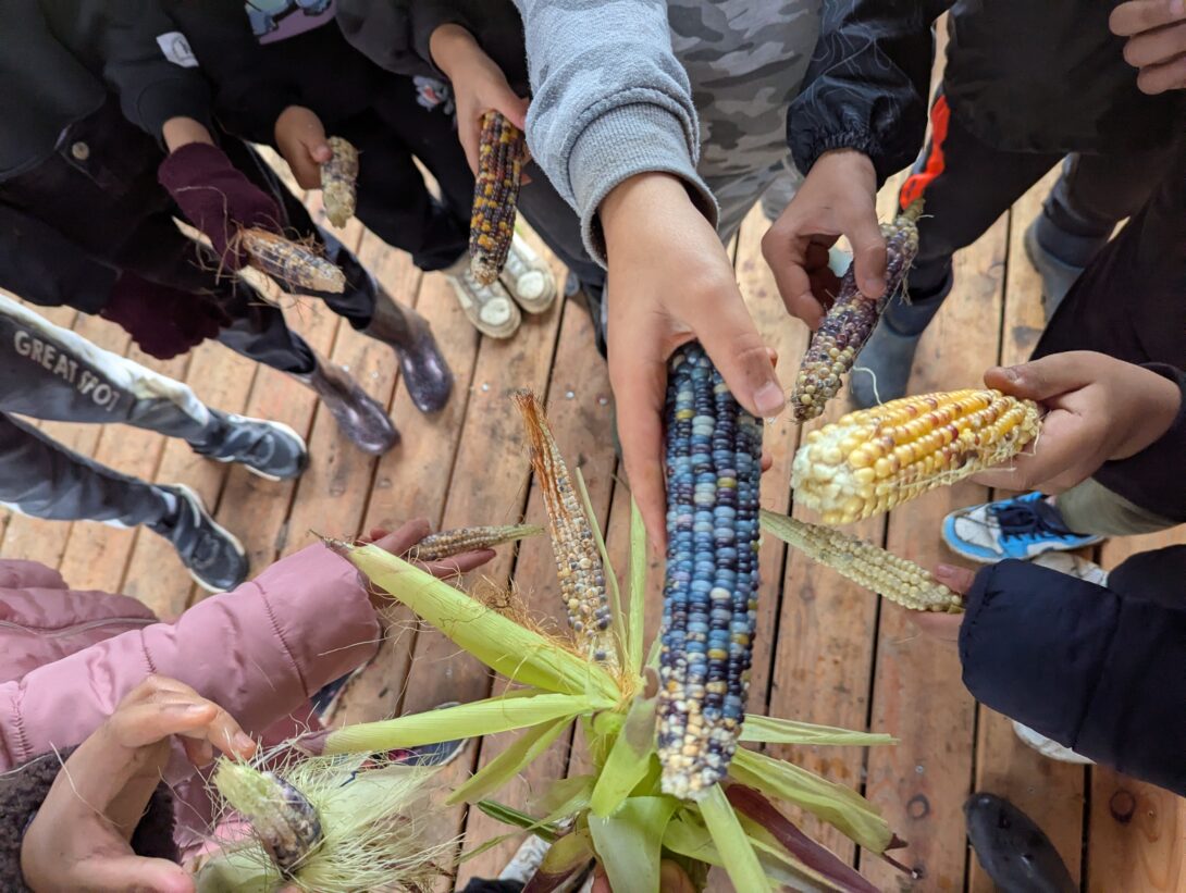 Mini-escape game : découvrir la ferme du Hohberg