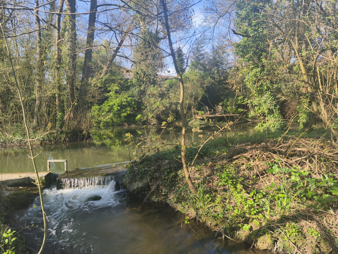 Randonnée « raconte moi la Bio » par Biocoop le Pois Tout Vert