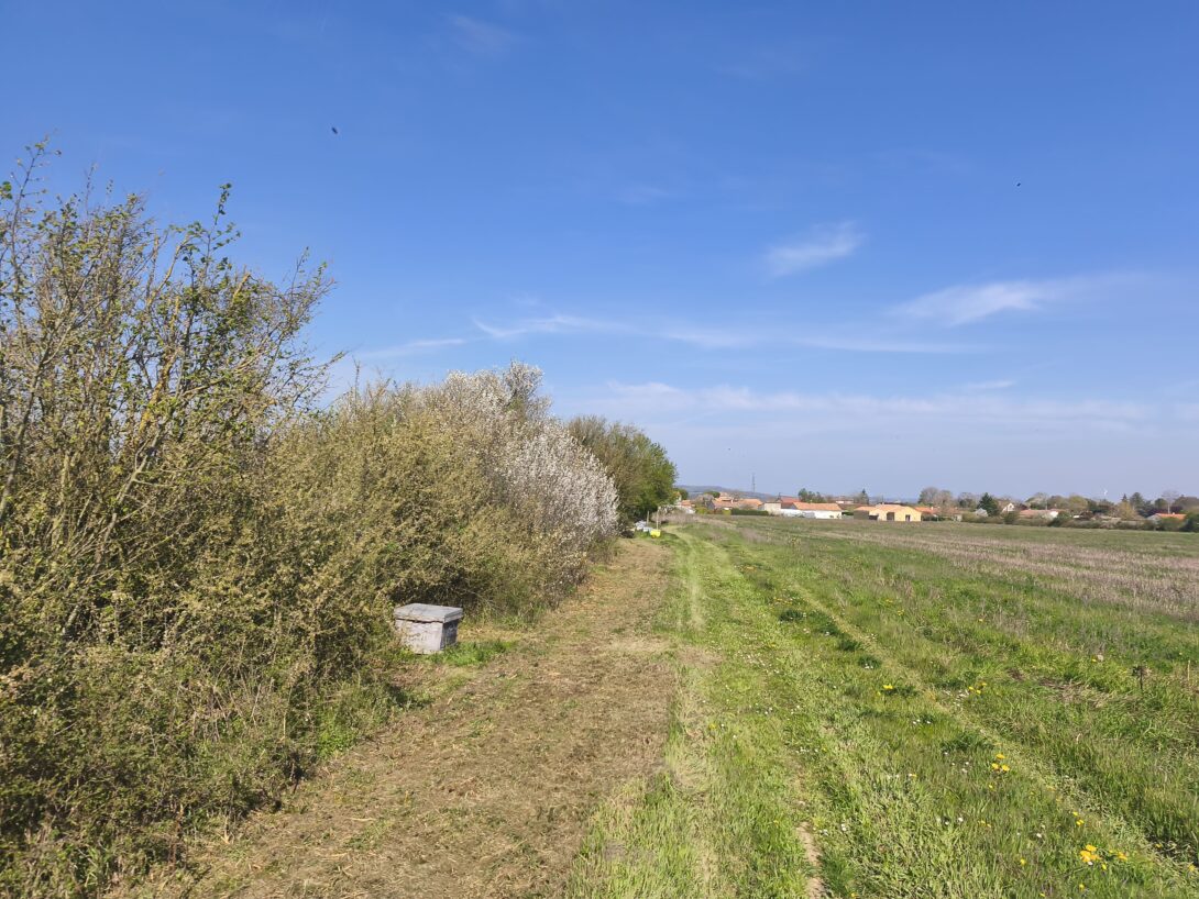 Randonnée « raconte moi la Bio » par Biocoop le Pois Tout Vert
