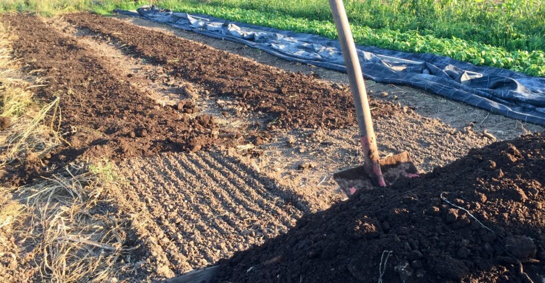 Produire mieux en respectant le sol et le vivant !