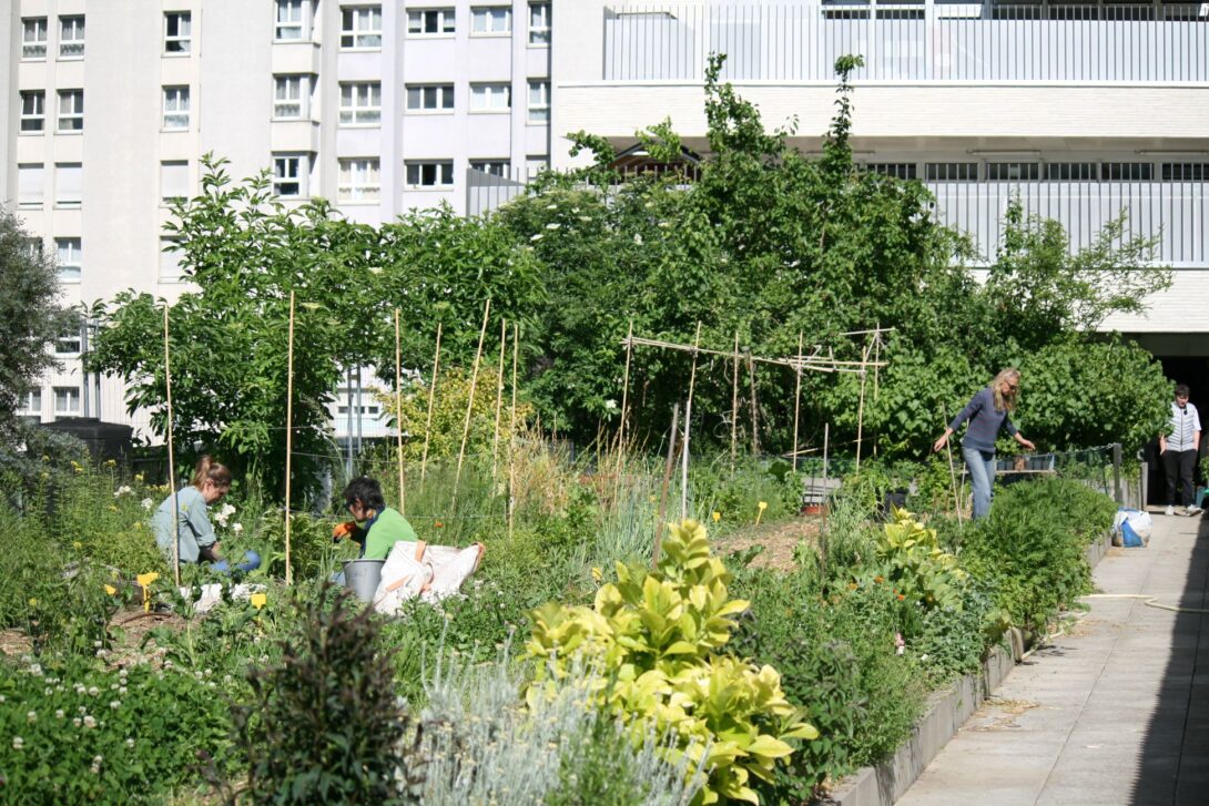 Visite et concours photo/dessin à la micro-ferme Eva Kotchever