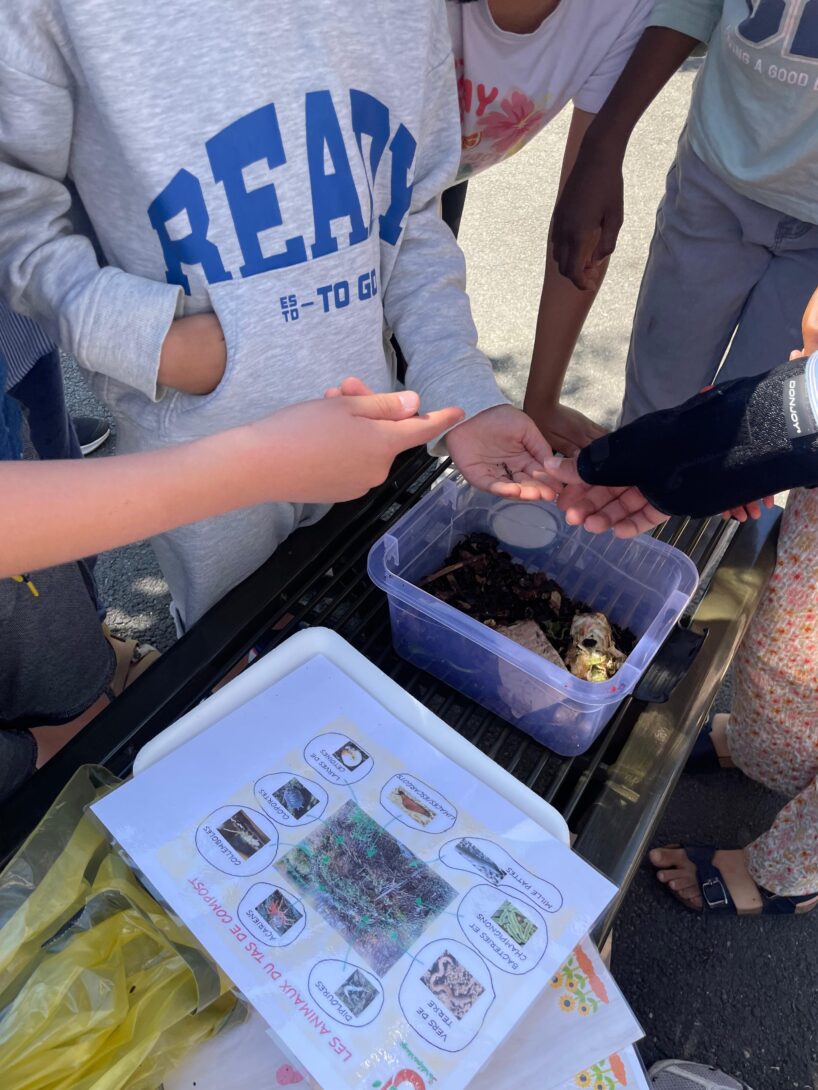 Les p&rsquo;tites bêtes du composteurs