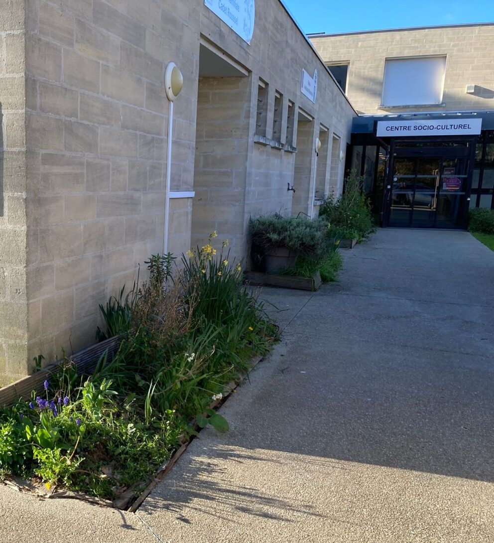 Aménagement d&rsquo;un jardin potager au centre socioculturel d&rsquo;Hérouville