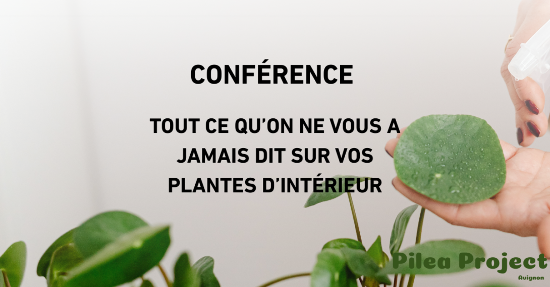 Conférence : Tout ce qu’on ne vous a jamais dit sur vos plantes d’intérieur