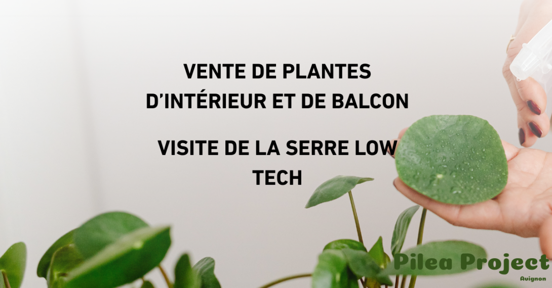 Vente de plantes et visite de la serre low tech