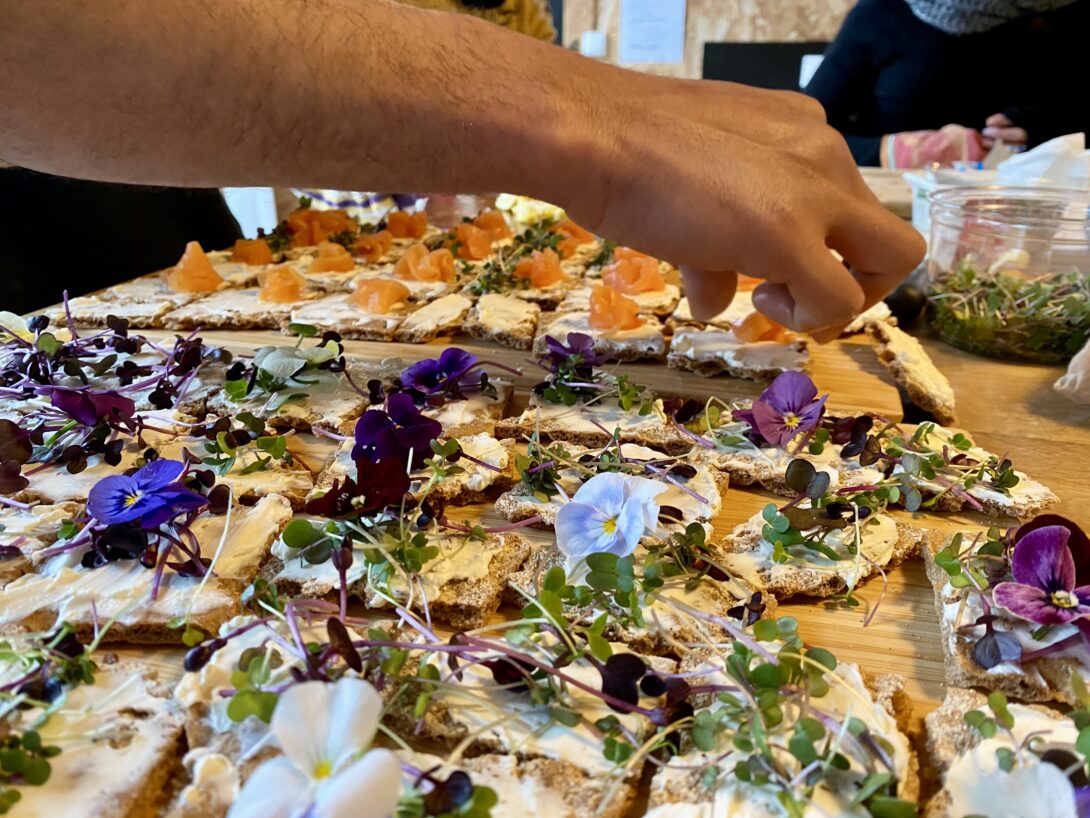 Visite et atelier gustatif, de la serre à la tartine fleurie !
