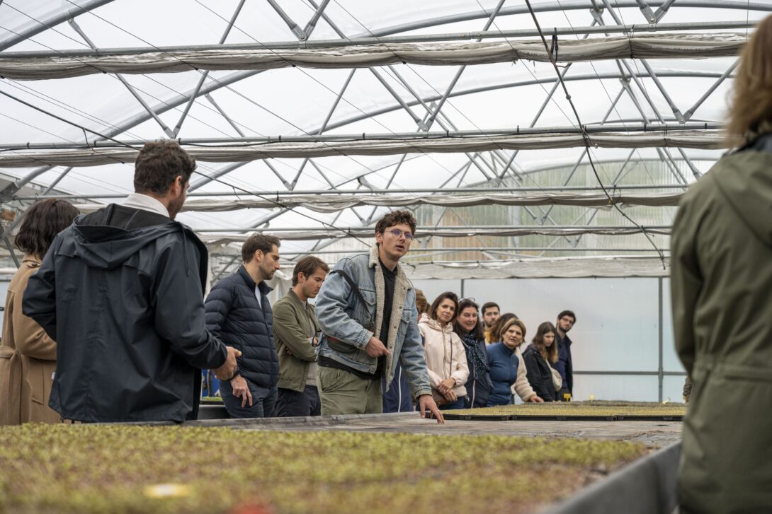 Visite et atelier gustatif, de la serre à la tartine fleurie !
