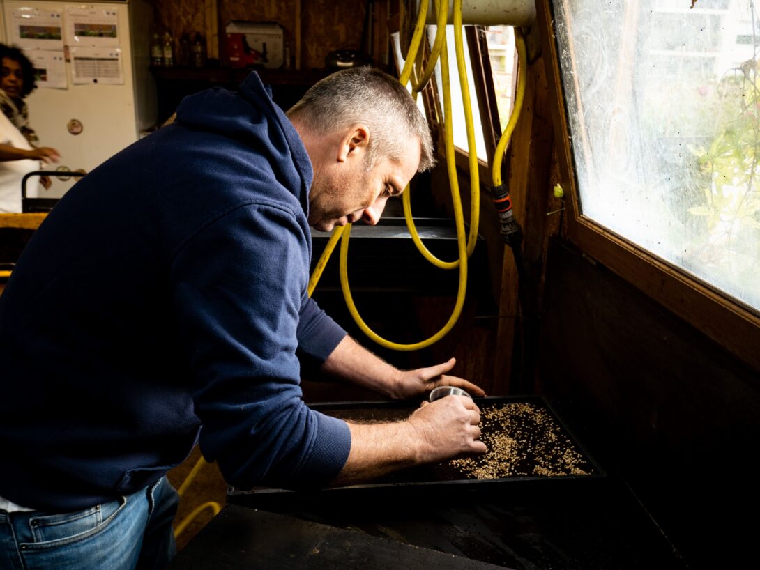 Atelier semis pour un jardin potager fleuri !