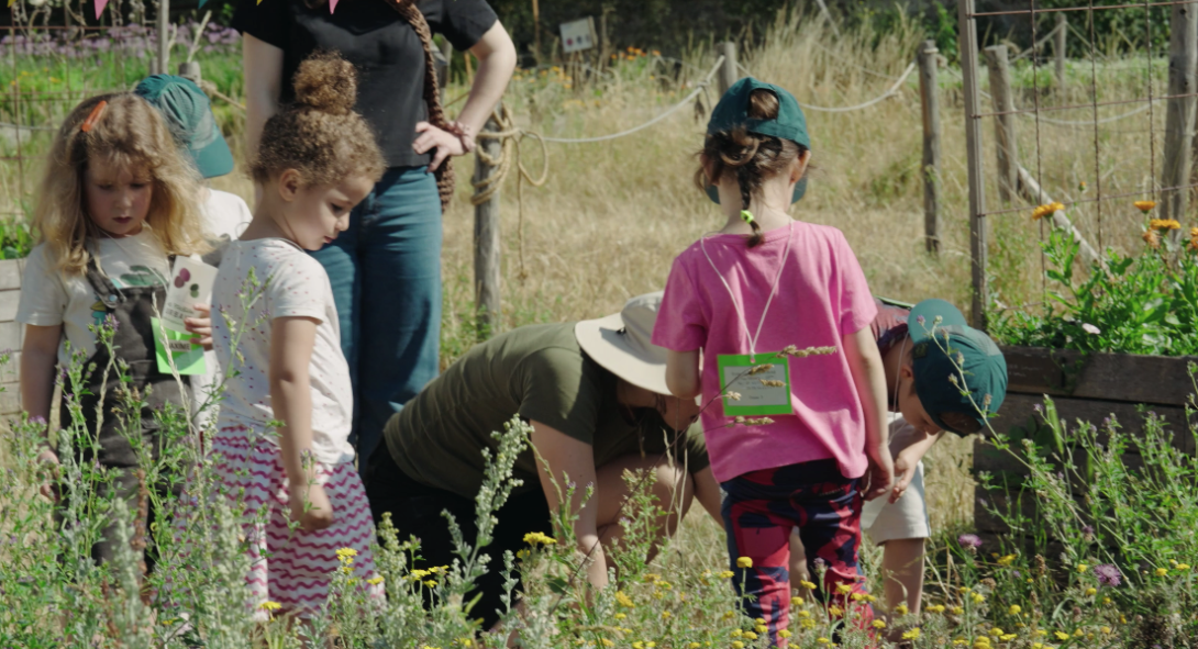Jeu Chasseurs-Cueilleurs (champs semis de céréales)