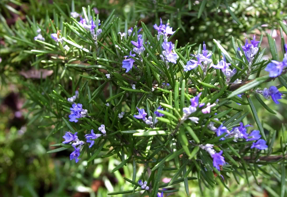 13&rsquo;Infuz – Journée portes ouvertes