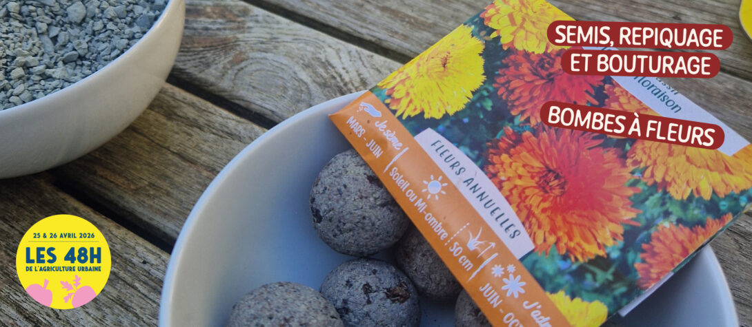 Fleurs, fruits et semis : un jardin vivant