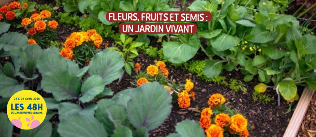 Fleurs, fruits et semis : un jardin vivant
