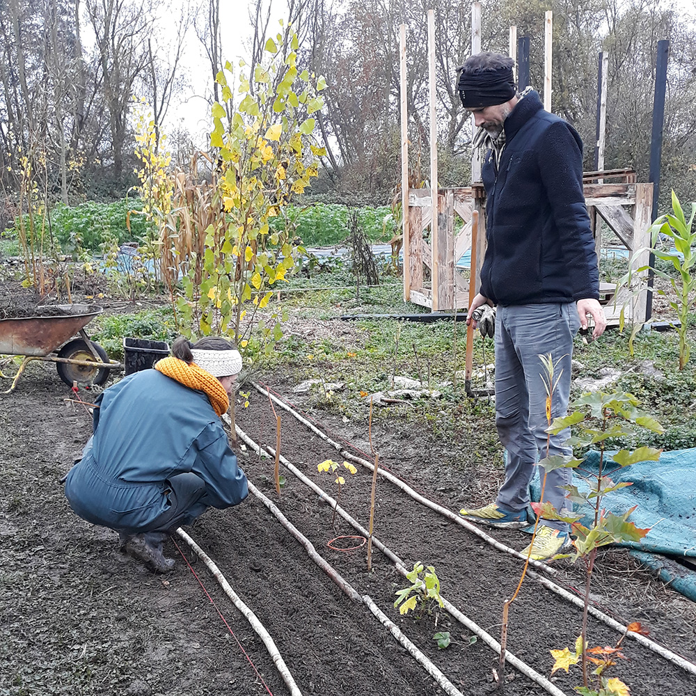 Visite et découverte de la syntropie avec Marianne Deckers à L&rsquo;école des jardiniers