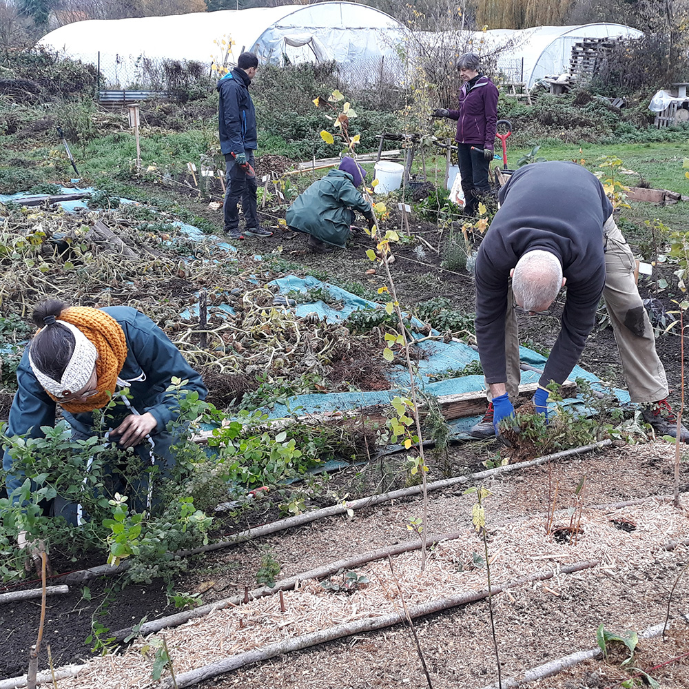 Chantier de plantation pour expérimenter la syntropie à L&rsquo;école des jardiniers