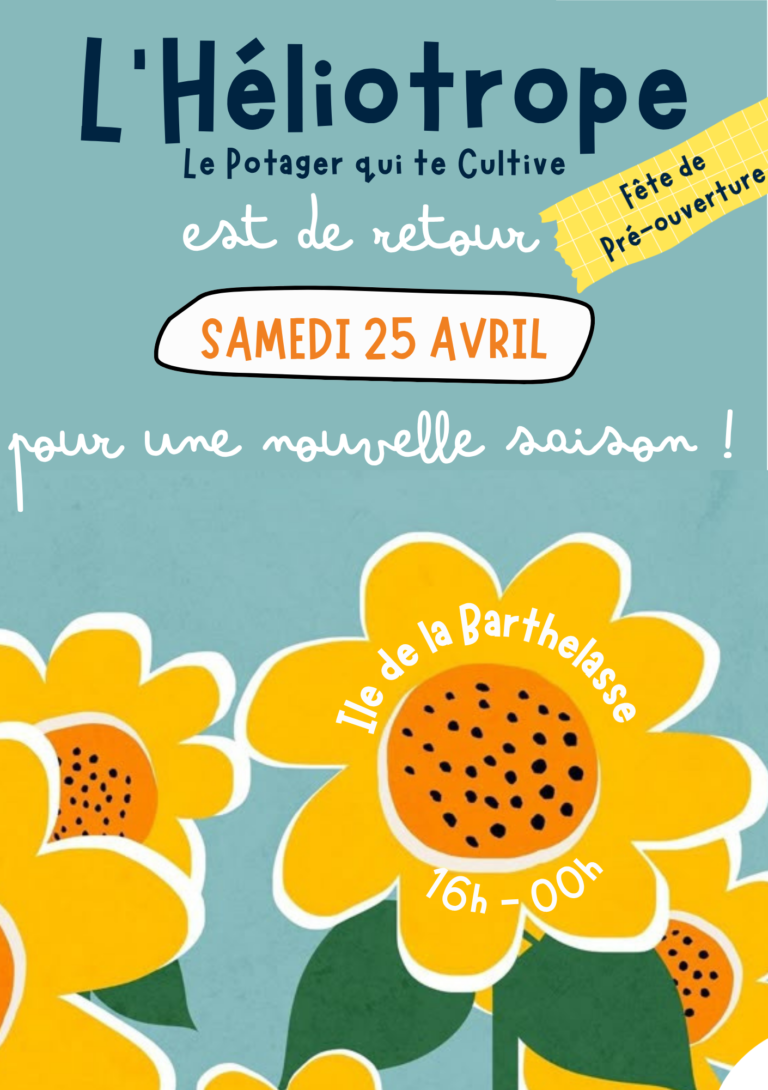 Cueillette de fraises et marché de producteur bio