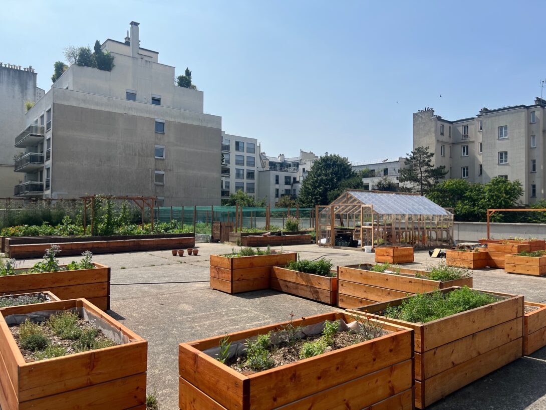 Visiter le Jardin du Campus Necker avec les invasifs