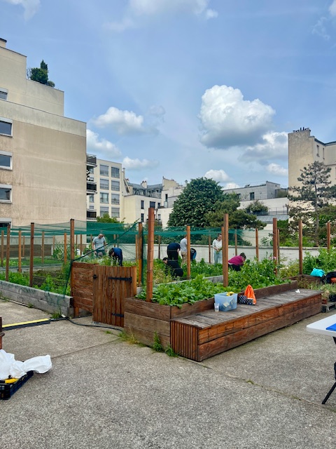 Visiter le Jardin du Campus Necker avec les invasifs