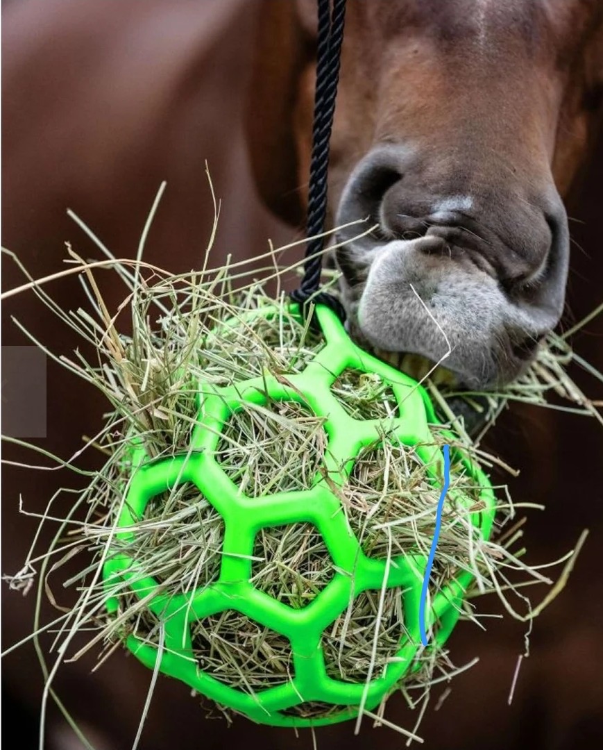 Viens créer un enrichissement pour les animaux de la ferme De l&rsquo;Homme à l&rsquo;animal