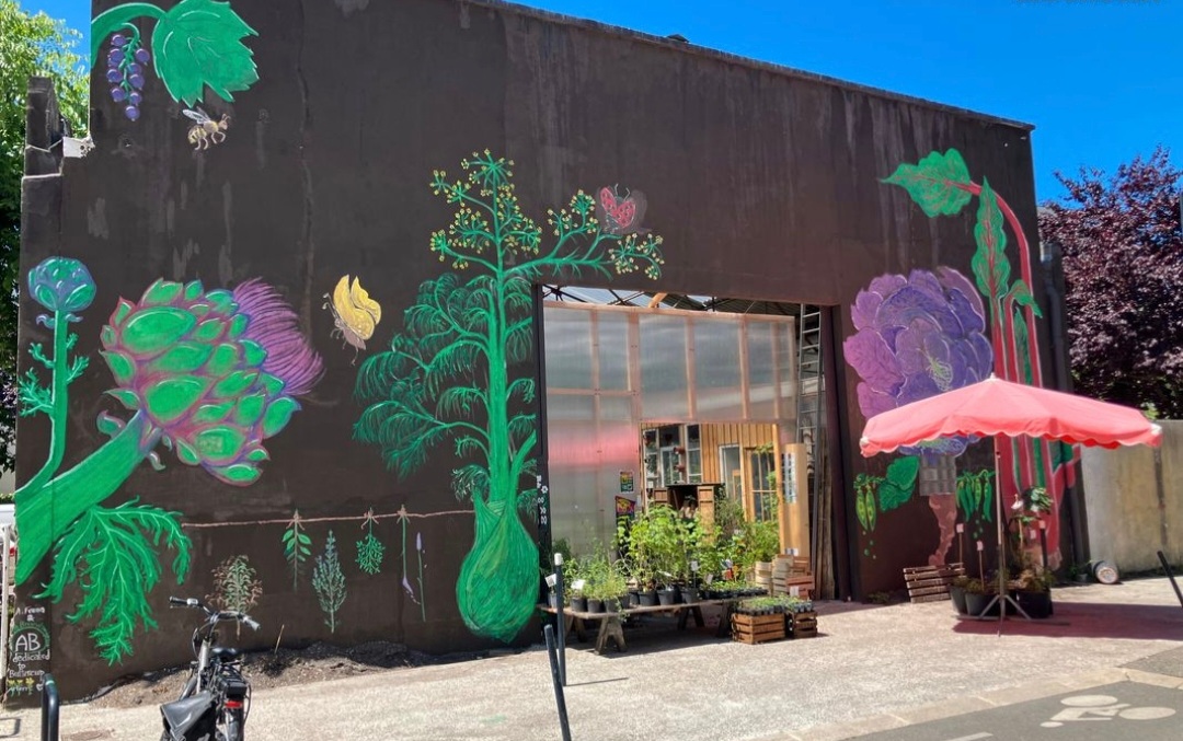 Atelier Mains Vertes : Semis de Fleurs & Aromatiques