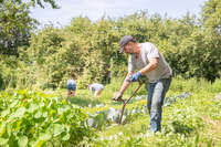 Visite « Biodiversité et Agriculture urbaine » à la Ferme Rémoise