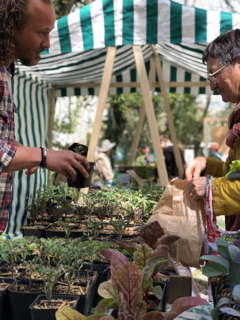 Grande vente de plants bios -légumes, fleurs, aromatiques et petits fruits