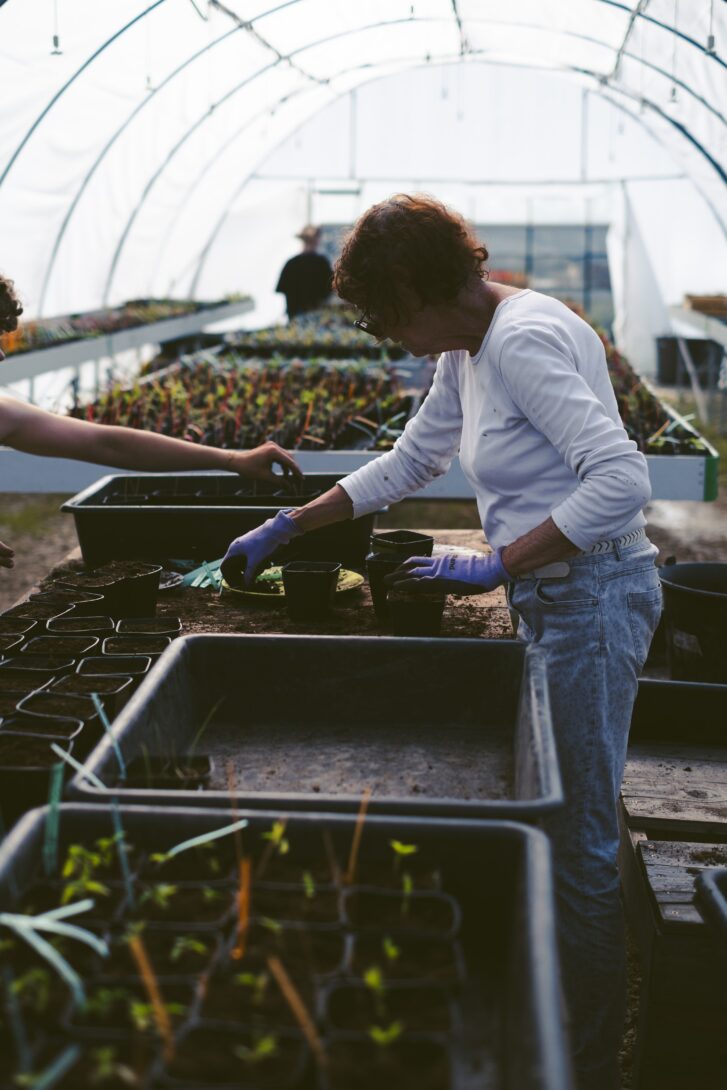 Chantier participatif – Création d&rsquo;un nouvel espace de culture au Tipi !