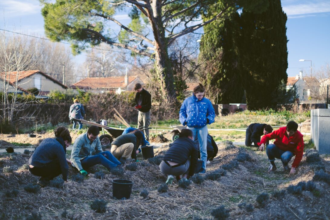 Chantier participatif – Création d&rsquo;un nouvel espace de culture au Tipi !