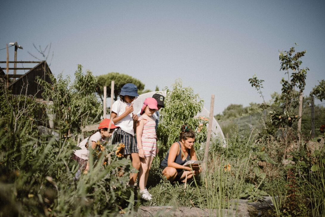Visite de la ferme urbaine