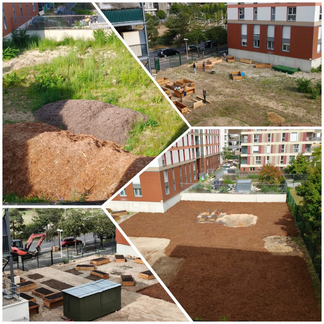 Balade guidée dans notre Oasis urbaine
