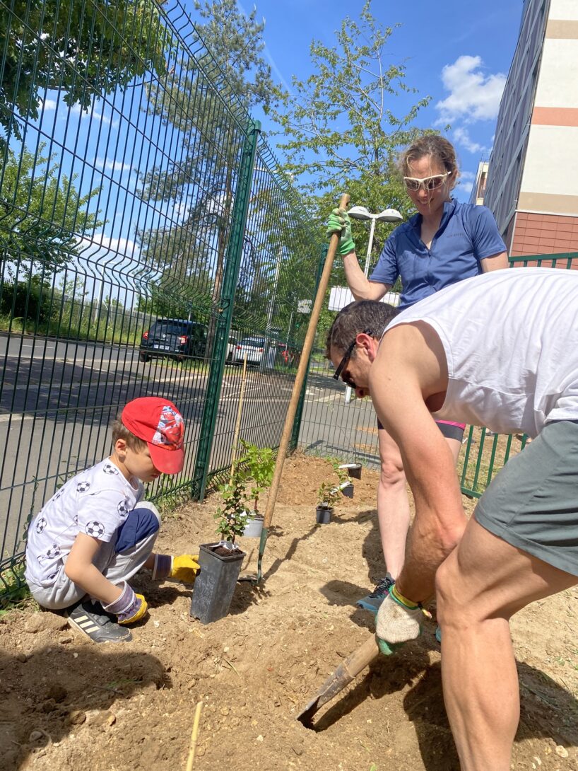 Balade guidée dans notre Oasis urbaine