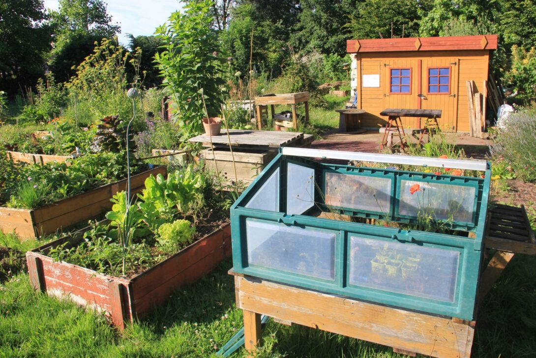 Découvrir le jardin avec des petits de 2-3 ans