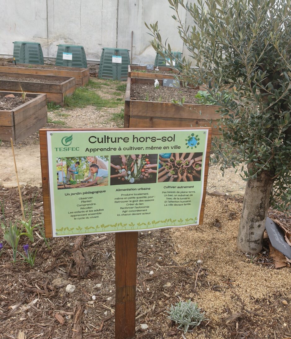 Atelier plantation en famille