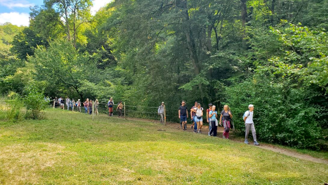 Parcours du samedi : « Les mains qui nous nourrissent » de Charbonnières à Dardilly