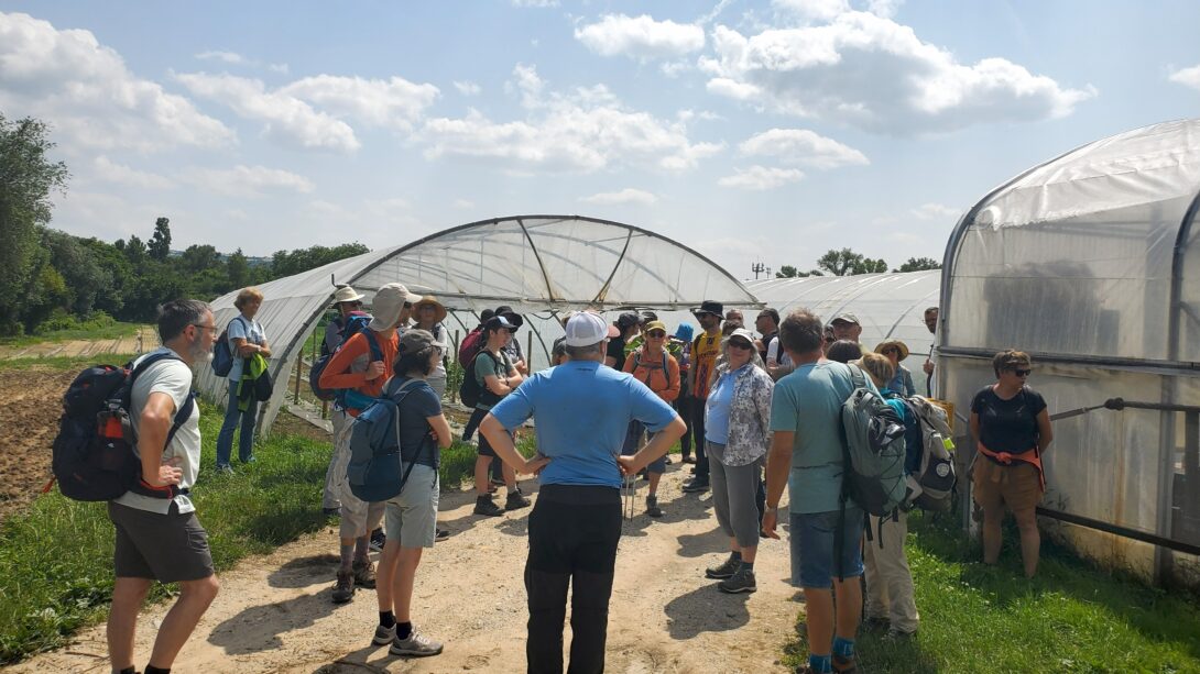 Parcours du dimanche 9h : « Les mains qui nous nourrissent » sur le GR169 (Dardilly – Albigny)